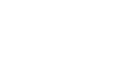 Npi pattern x twist white work crop