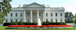 Whitehouse