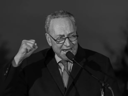 Chuck Shumer debrief