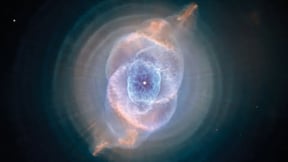 Alien Agendas After Disclosure
