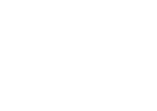 Npi pattern tilt cut off wihte