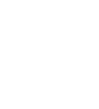 Npi pattern globe white