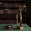 Law and Politics